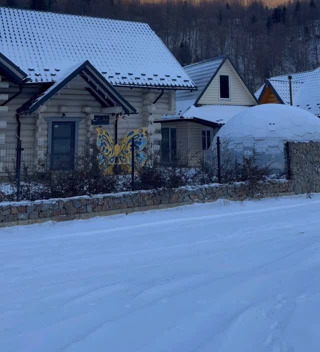 Сніг біля Буковеля